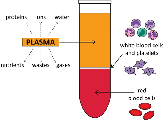 blood separation.png