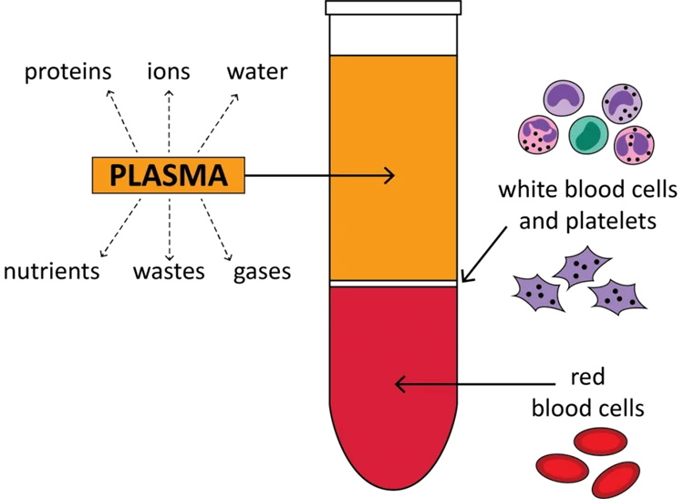 blood separation