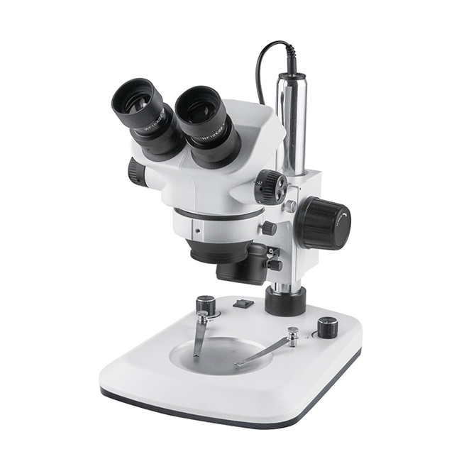 XTL Series Zoom Stereo Microscope